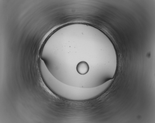 X0000116111092200912211627