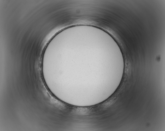 X0000116111094200912211627