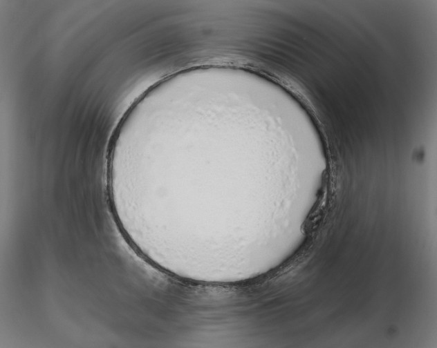 X0000116111095200912211627