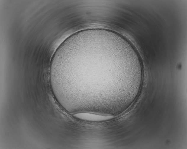 X0000116111097200912211627