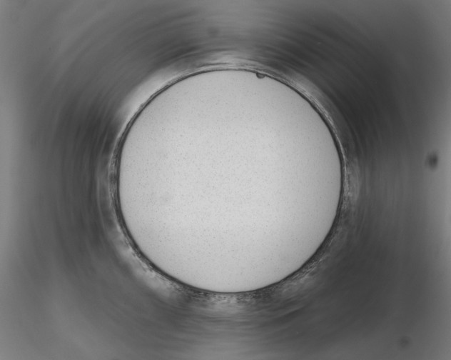 X0000116111098200912211627