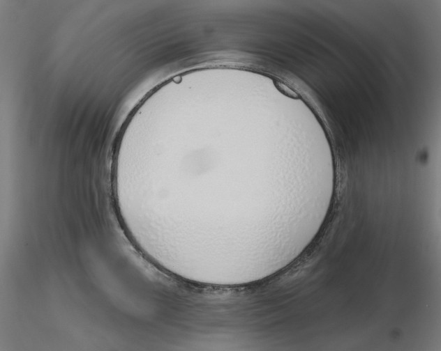 X0000116111099200912211627