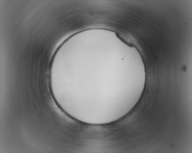 X0000116111100200912211627