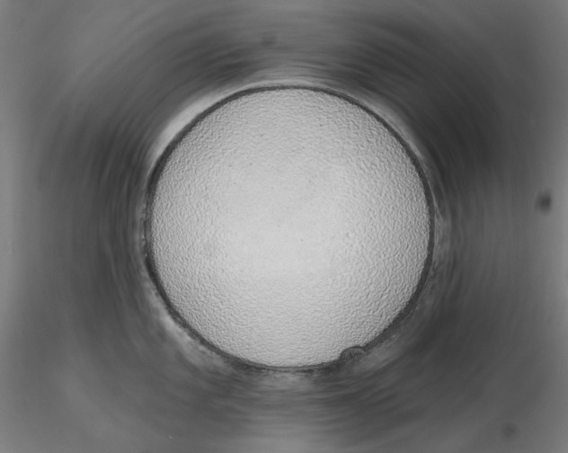 X0000116111101200912211627
