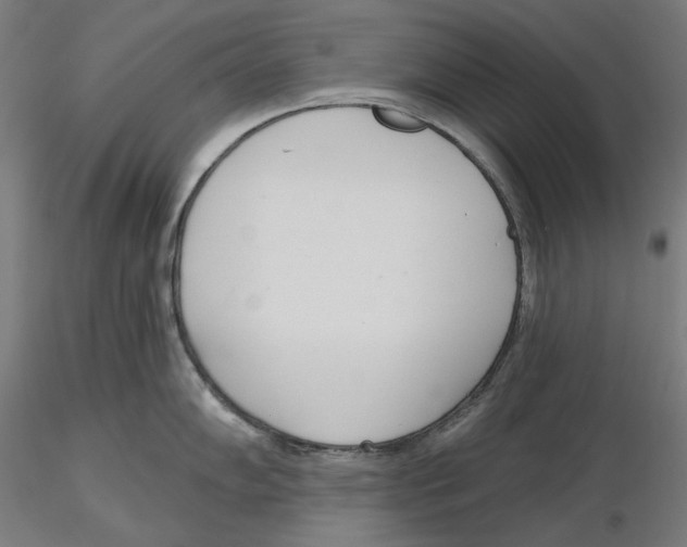 X0000116111102200912211627