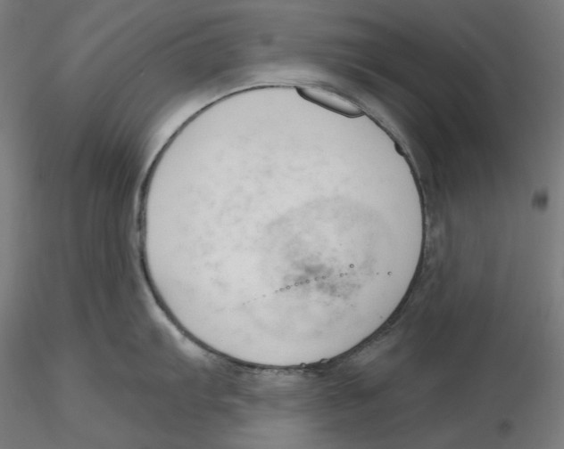X0000116111103200912211627