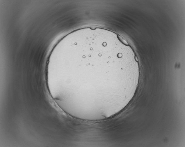 X0000116111104200912211627