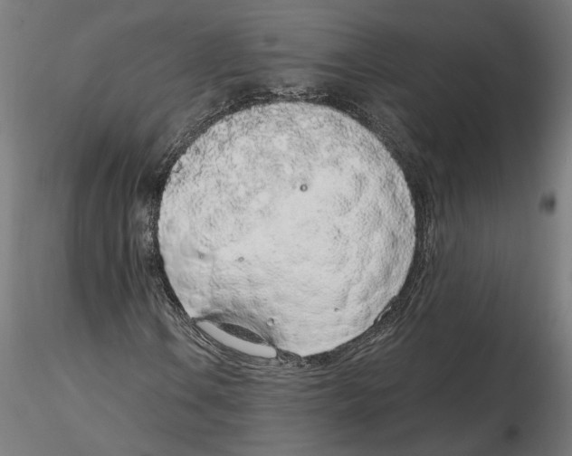 X0000116111106200912211627