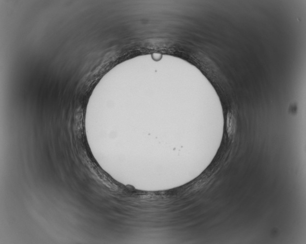 X0000116111107200912211627