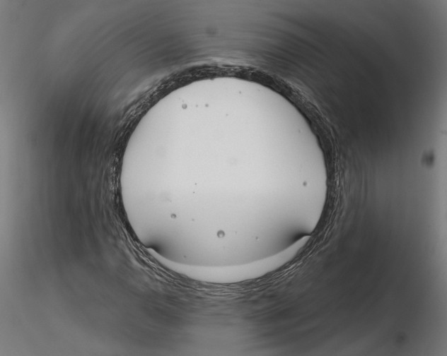 X0000116111110200912211627