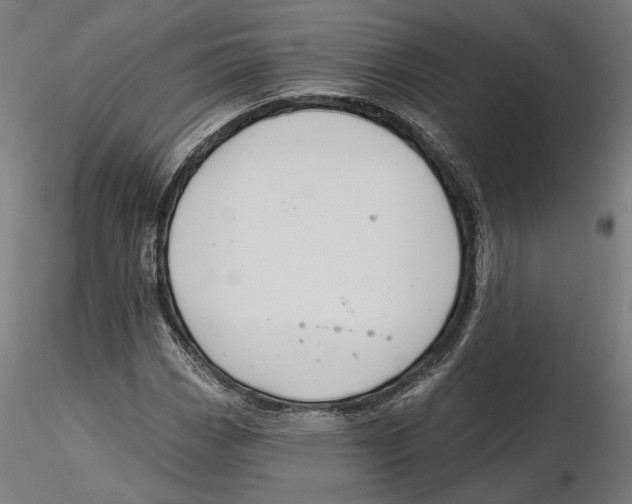 X0000116111113200912211627