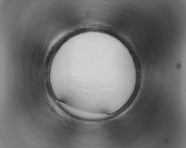 X0000116111114200912211627