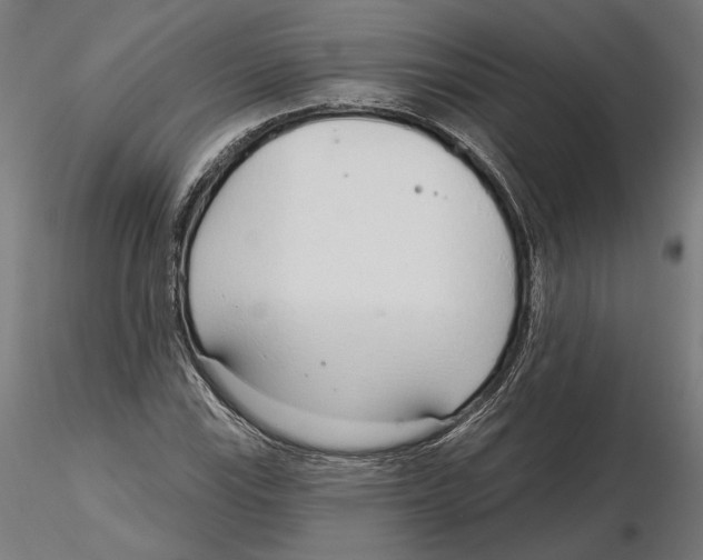 X0000116111115200912211627
