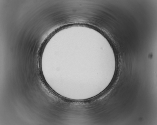 X0000116111118200912211627