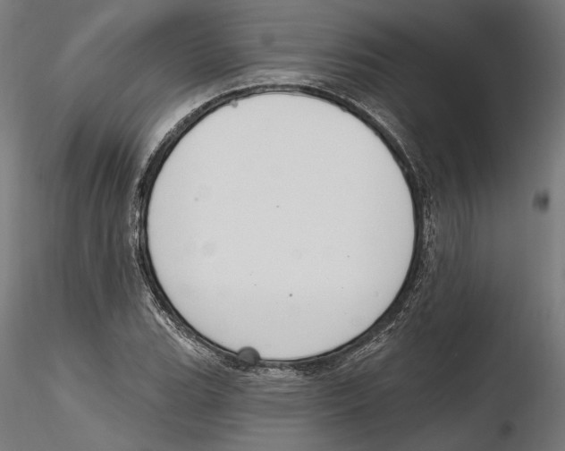 X0000116111119200912211627