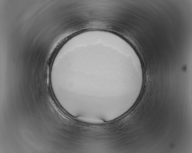 X0000116111123200912211627