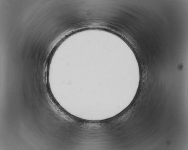 X0000116111126200912211627