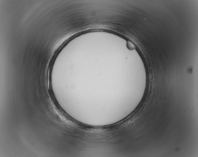 X0000116111127200912211627