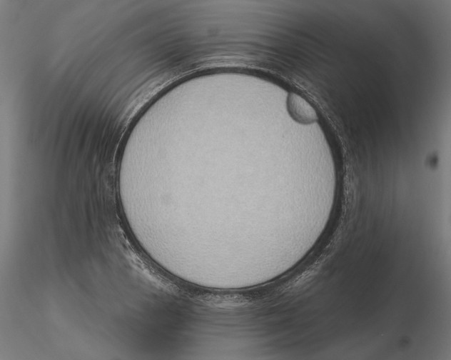 X0000116111129200912211627