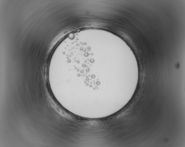 X0000116111130200912211627