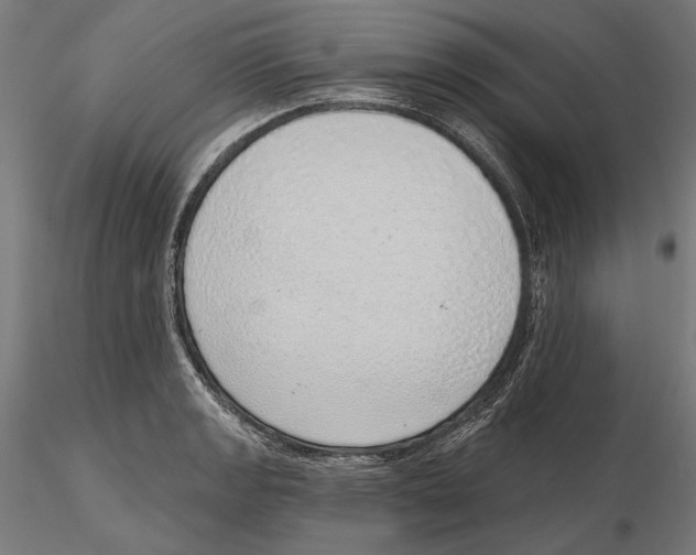 X0000116111133200912211627