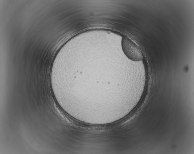 X0000116111137200912211627