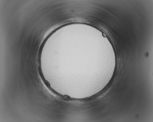 X0000116111141200912211627