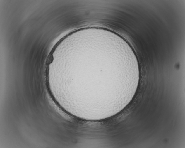 X0000116111142200912211627