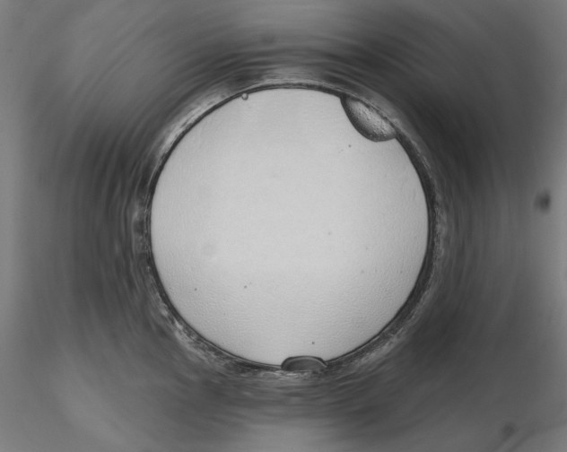 X0000116111145200912211627
