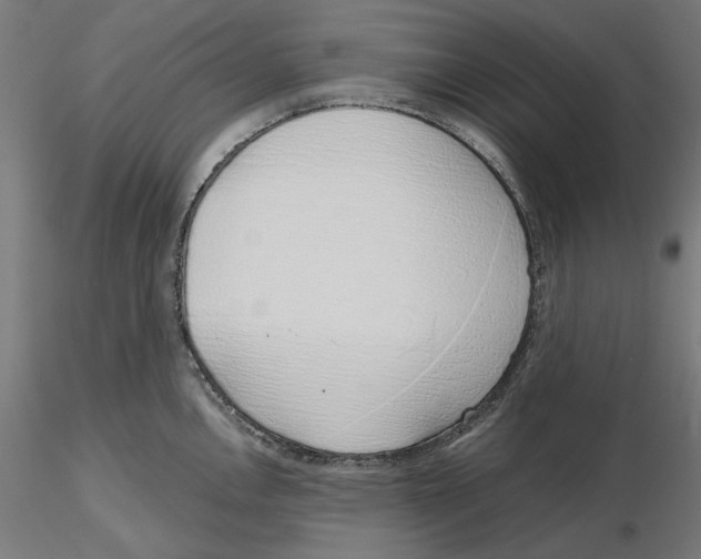 X0000116111146200912211627