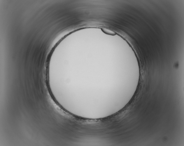 X0000116111147200912211627