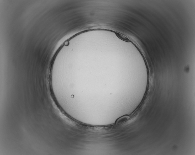 X0000116111149200912211627