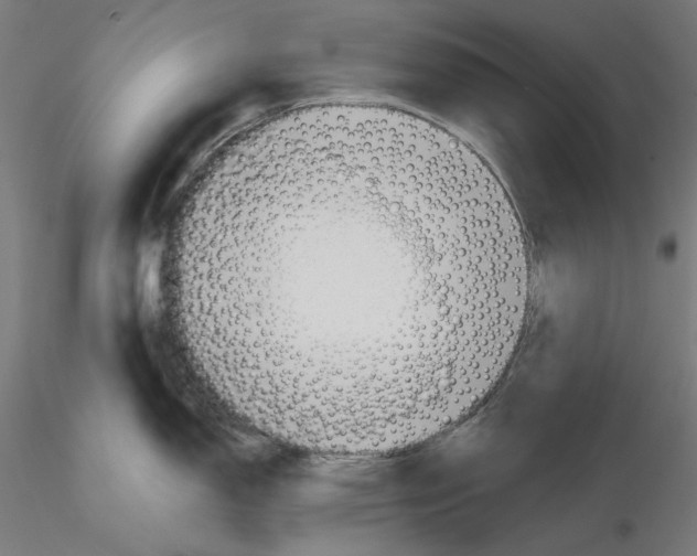 X0000116111150200912211627