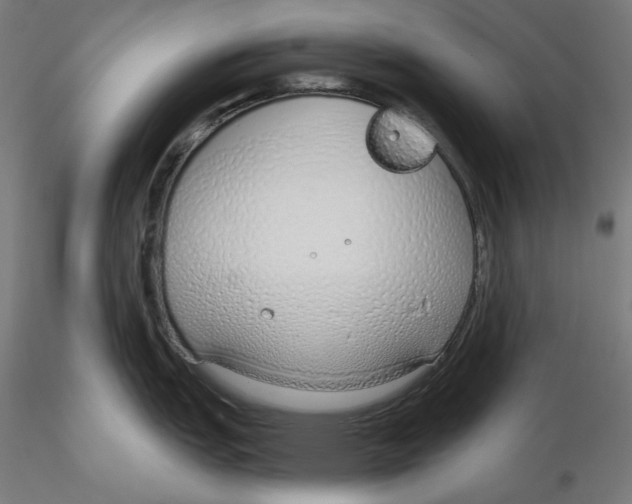 X0000116111151200912211627