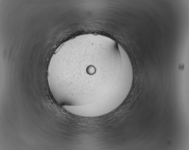 X0000116111153200912211627