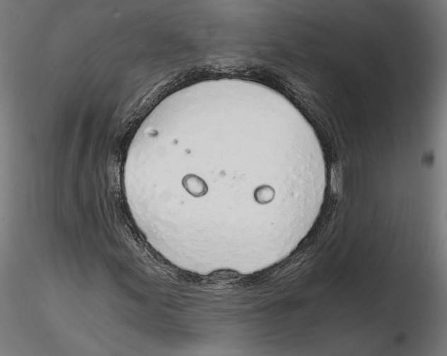 X0000116111155200912211627