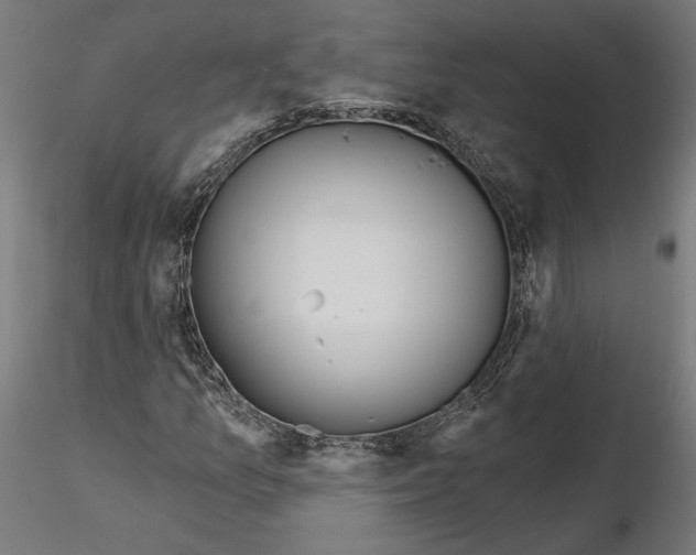 X0000116111157200912211627