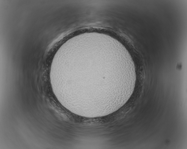 X0000116111159200912211626