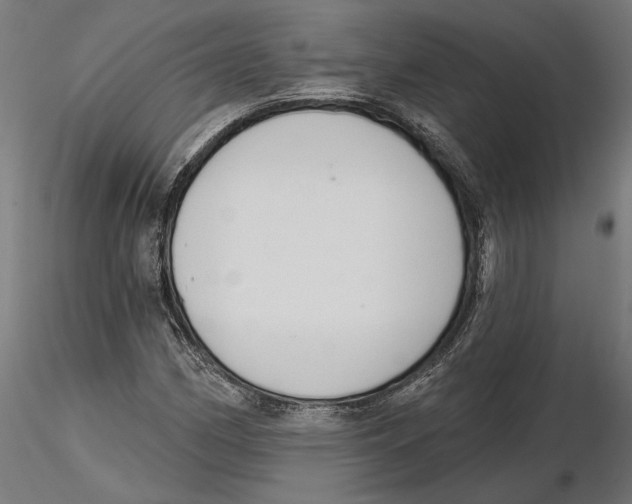X0000116111162200912211626