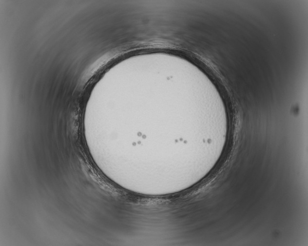 X0000116111163200912211626