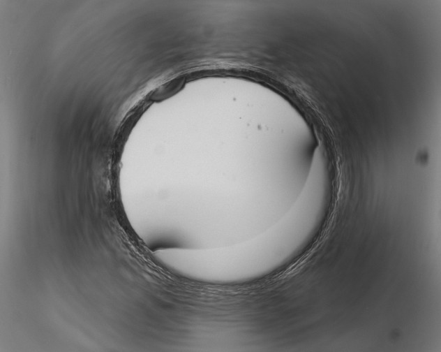X0000116111165200912211626
