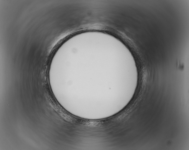 X0000116111166200912211626