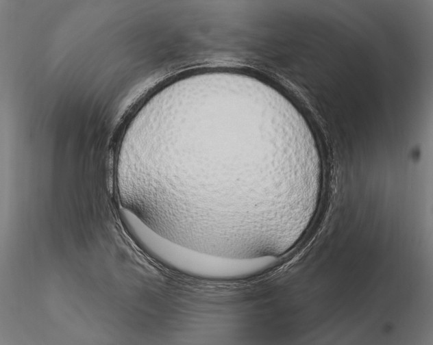 X0000116111171200912211626