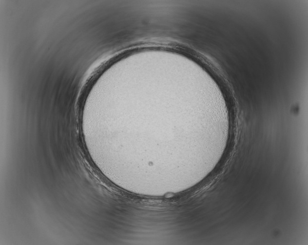 X0000116111172200912211626