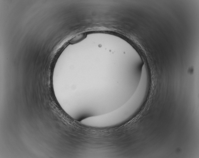 X0000116111173200912211626