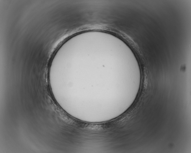 X0000116111174200912211626