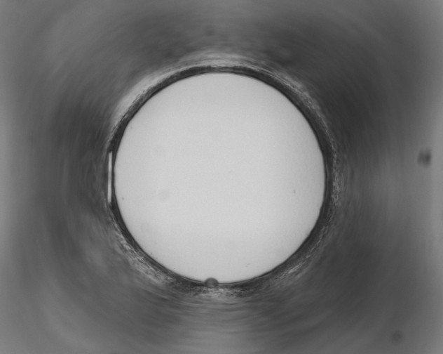 X0000116111175200912211626