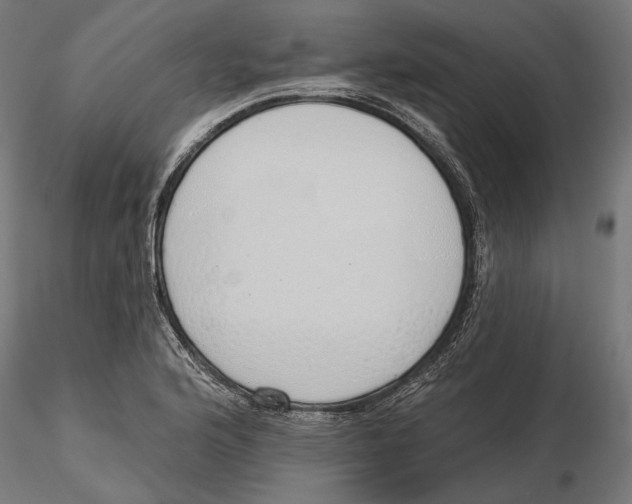 X0000116111176200912211626