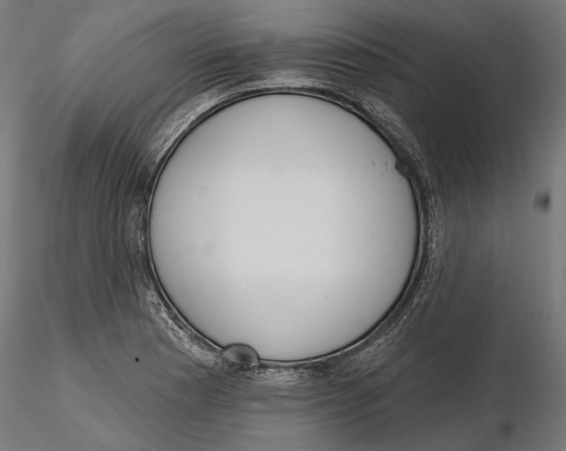 X0000116111177200912211626