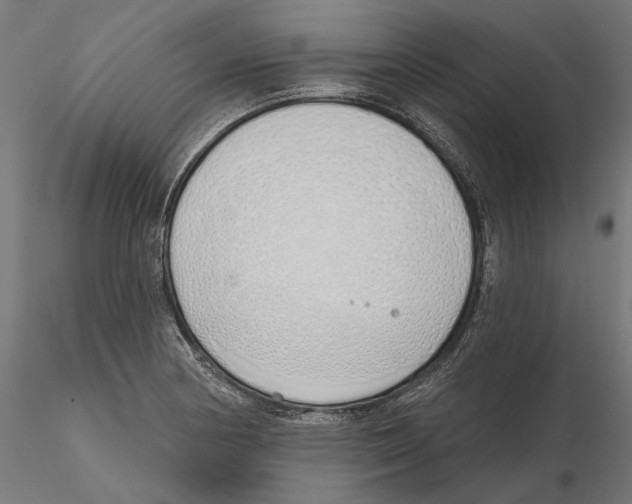 X0000116111178200912211626